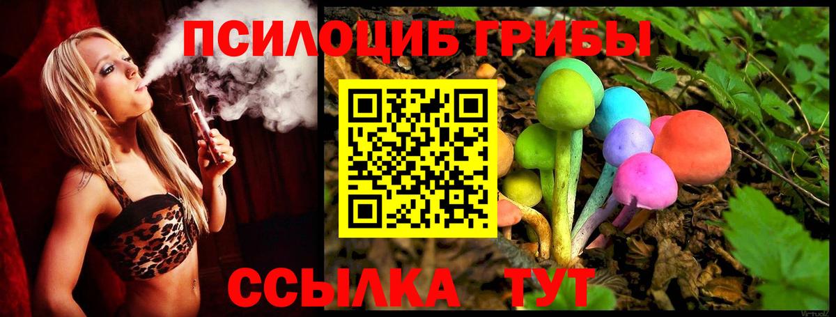 Псилоцибиновые грибы мицелий Ивантеевка